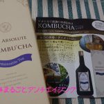 【菌活・腸活】藤原紀香さんがブログにアップした紅茶キノコを【KOMBUCHA】で試してみた